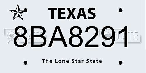 8BA8291 Texas License Plate