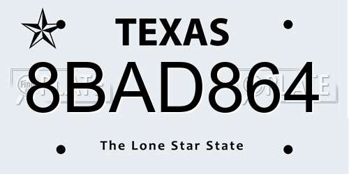 8BAD864 Texas License Plate
