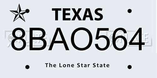 8BAO564 Texas License Plate