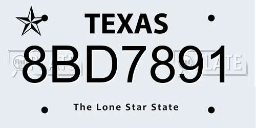 8BD7891 Texas License Plate