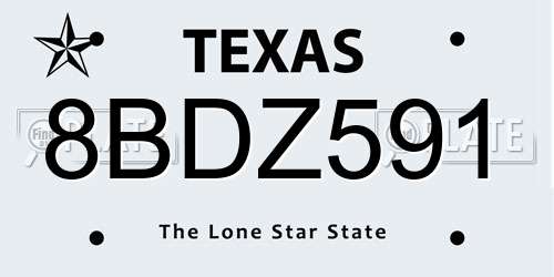 8BDZ591 Texas License Plate