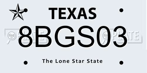 8BGS03 Texas License Plate