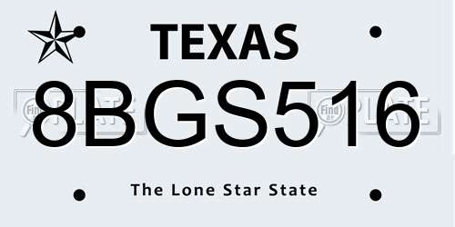 8BGS516 Texas License Plate