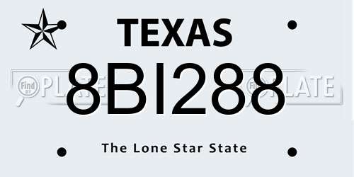 8BI288 Texas License Plate