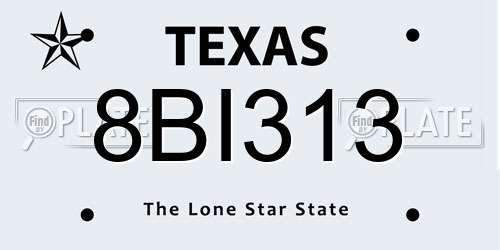 8BI313 Texas License Plate