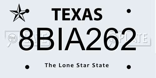 8BIA262 Texas License Plate
