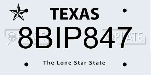 8BIP847 Texas License Plate