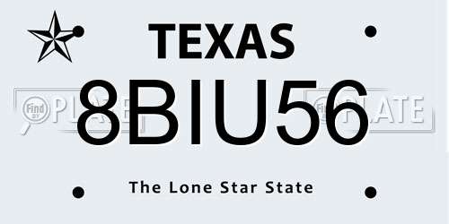 8BIU56 Texas License Plate