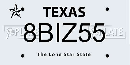 8BIZ55 Texas License Plate