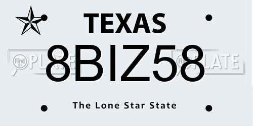 8BIZ58 Texas License Plate
