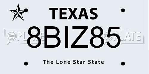 8BIZ85 Texas License Plate