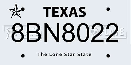 8BN8022 Texas License Plate