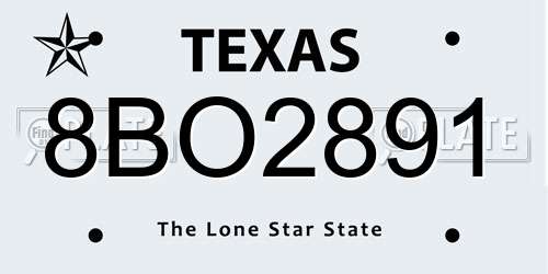 8BO2891 Texas License Plate