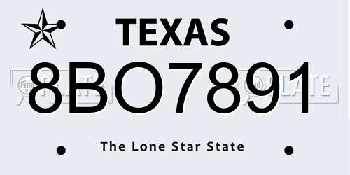 8BO7891 Texas License Plate