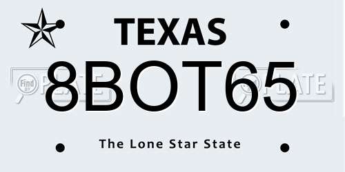 8BOT65 Texas License Plate