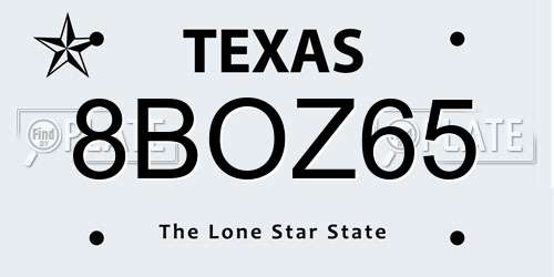8BOZ65 Texas License Plate