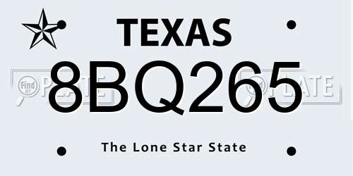 8BQ265 Texas License Plate