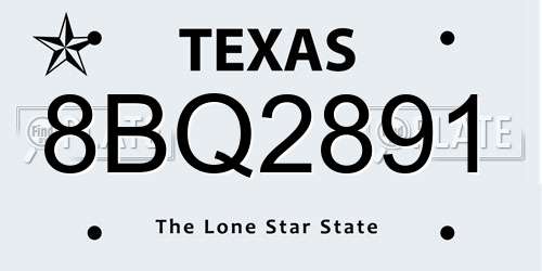 8BQ2891 Texas License Plate
