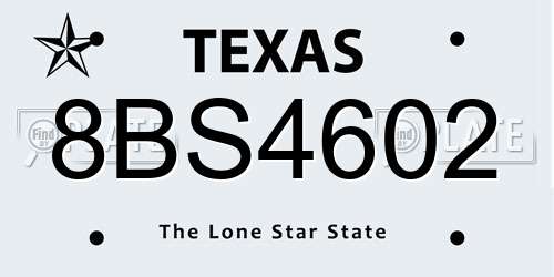8BS4602 Texas License Plate