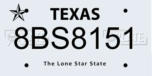 8BS8151 Texas License Plate