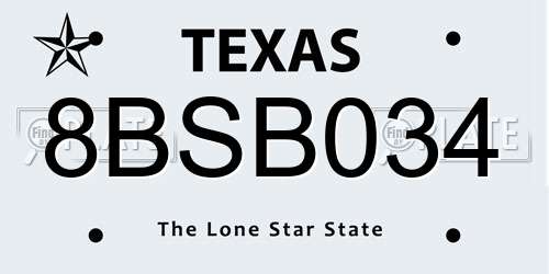 8BSB034 Texas License Plate