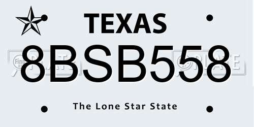 8BSB558 Texas License Plate