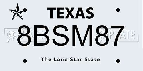 8BSM87 Texas License Plate