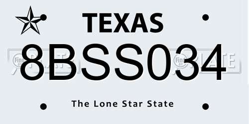 8BSS034 Texas License Plate