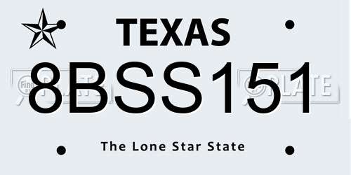 8BSS151 Texas License Plate