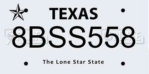 8BSS558 Texas License Plate