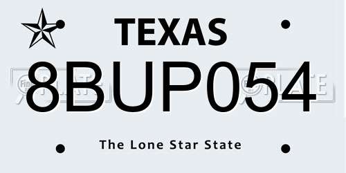 8BUP054 Texas License Plate
