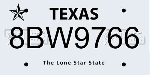 8BW9766 Texas License Plate