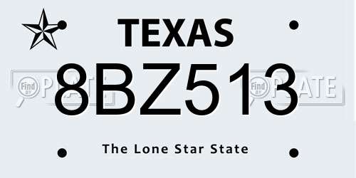 8BZ513 Texas License Plate