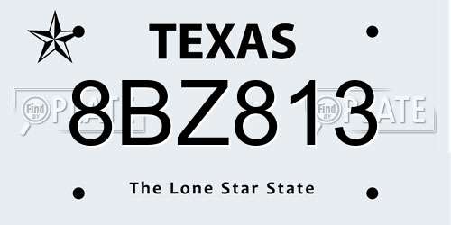 8BZ813 Texas License Plate