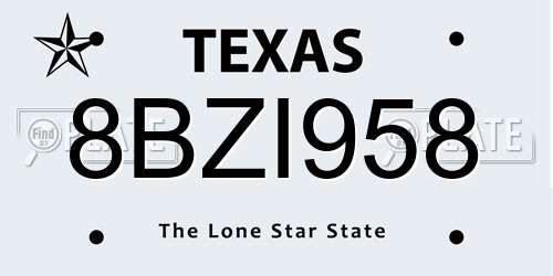 8BZI958 Texas License Plate