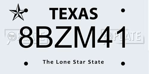 8BZM41 Texas License Plate