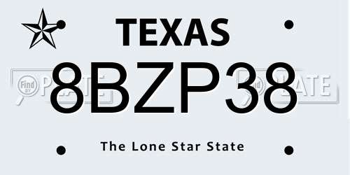 8BZP38 Texas License Plate
