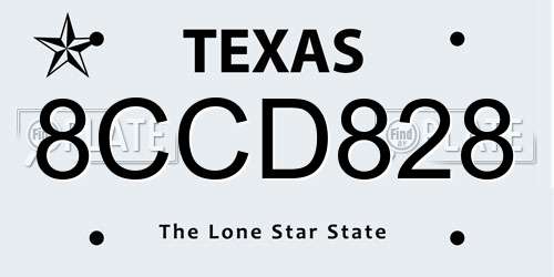 8CCD828 Texas License Plate