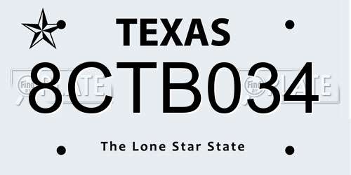 8CTB034 Texas License Plate