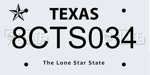 8CTS034 Texas License Plate