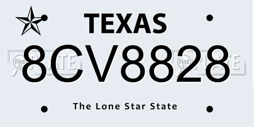 8CV8828 Texas License Plate
