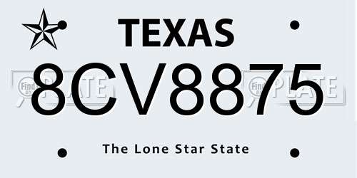 8CV8875 Texas License Plate