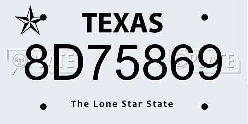 8D75869 Texas License Plate