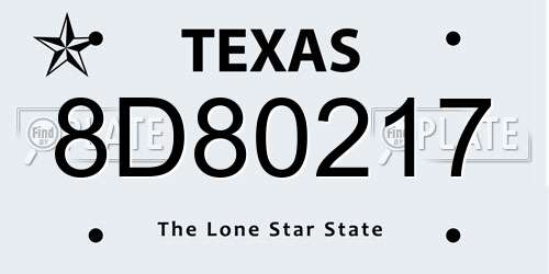 8D80217 Texas License Plate