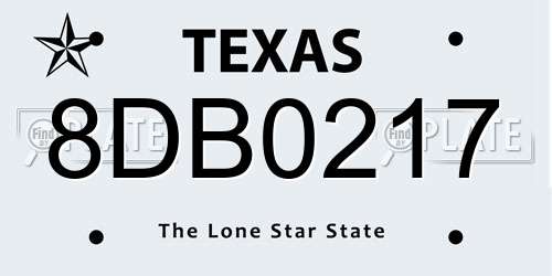 8DB0217 Texas License Plate