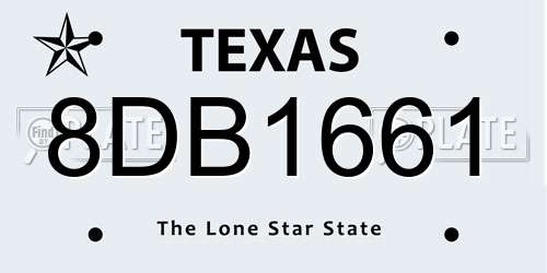 8DB1661 Texas License Plate