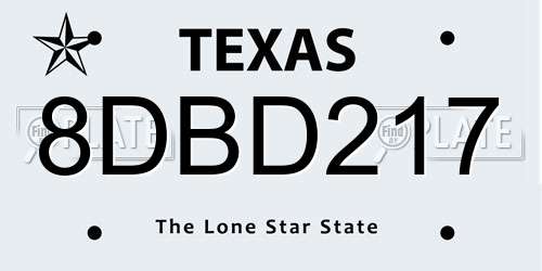 8DBD217 Texas License Plate