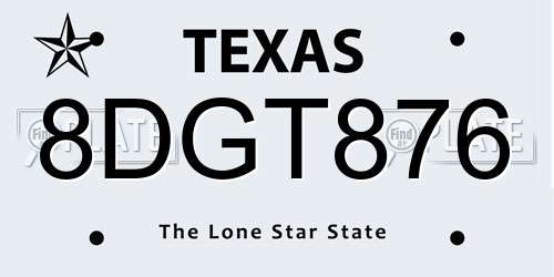 8DGT876 Texas License Plate