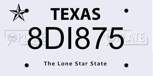 8DI875 Texas License Plate