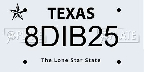 8DIB25 Texas License Plate